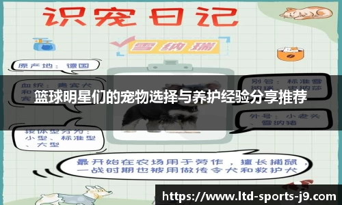 篮球明星们的宠物选择与养护经验分享推荐
